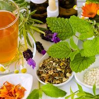 original sound - LifeBoost