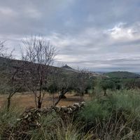 albertohernandezm486