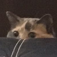 If you see this you are loved