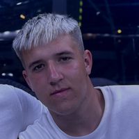 dino_85