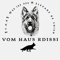original sound - vom_haus_rdissi