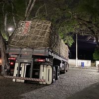 flogao_vibe_massante