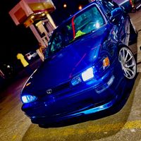 papa_corolla1
