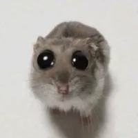 original sound - 4phonsynh4r