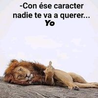 _frases1_detodo