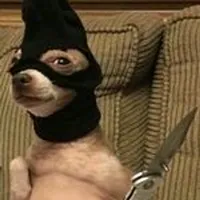 original sound - tucompita005