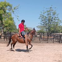 josephpacheco388