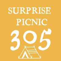surprisepicnic305