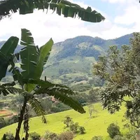 original sound - branquinha300