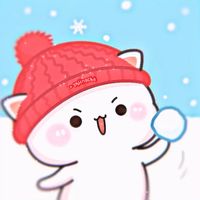 skiingcha
