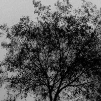 original sound - lesonxddd