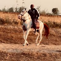 youssouf.ndiay96