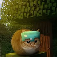 davxwd_2025