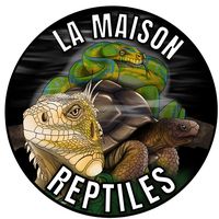 lamaison_reptiles
