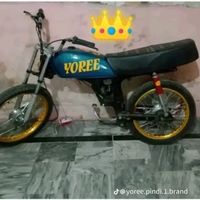yoree..is..brand5
