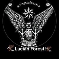 lucianhojda2