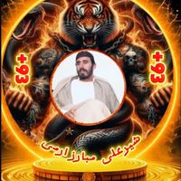 hajisherali08