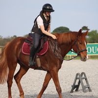 eva_blnd