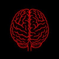 sonido original - NeuronaNegra