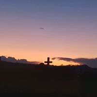 anica_262