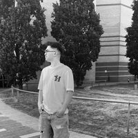 viorel_vlad2
