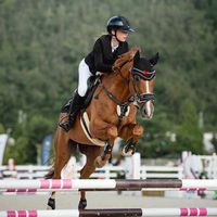 nikita.equistrian