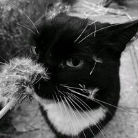 kat_workut