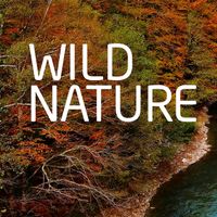 wildnature_13