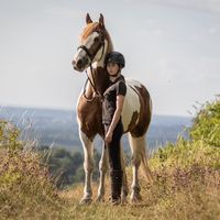 roenandrorie