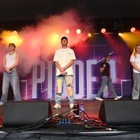 pidde.p