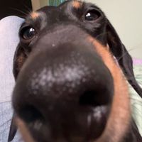 xbella.lunax