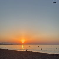 lw_444x