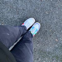 la_star002