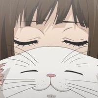 user.an_a