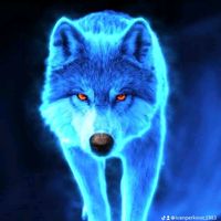 ivan.alpha.wolf