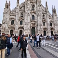 niki_figoni