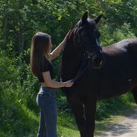 avaequinex