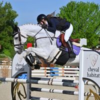 mailie_et_ses_poneys