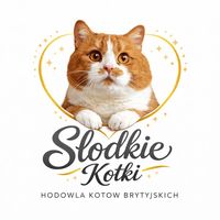 slodkiekotki.pl