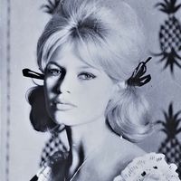 dollbardot
