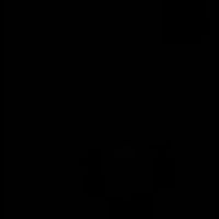 lenutabucurici