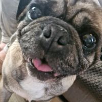 evie03900