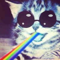 tfm._.wfa