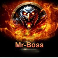 mrboss.27evreux7