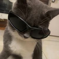 neymajokzqv