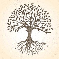 rootspace