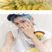 navylix