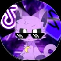catnapvrr