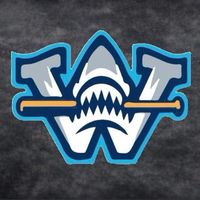 whitesharkteam