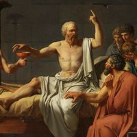 cogito___
